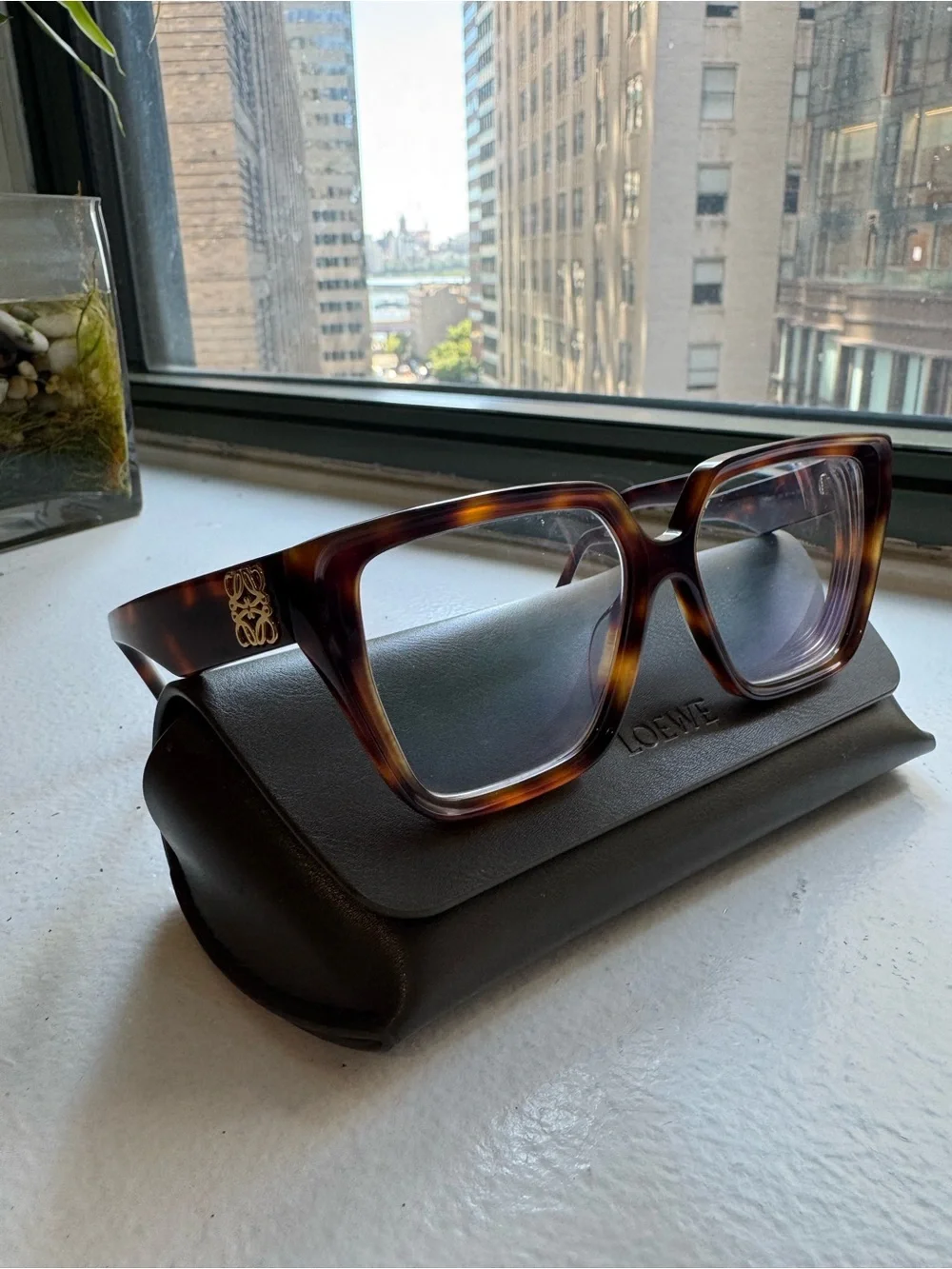 Loewe Chunky Anagram LW50042I Shiny Havana Eyeglasses 55-16-140 + Case
